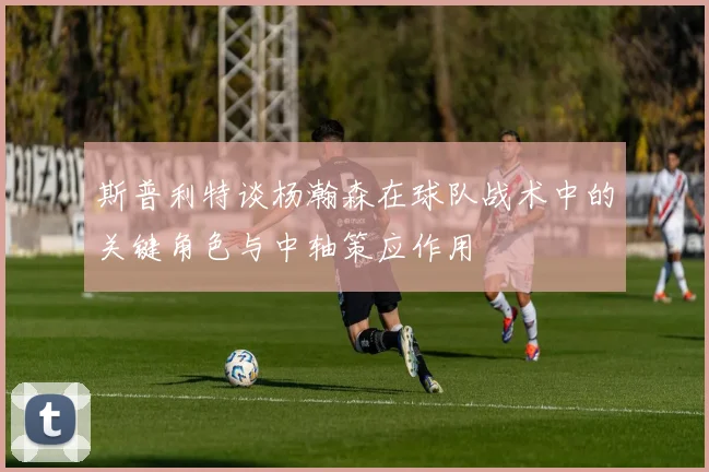 斯普利特谈杨瀚森在球队战术中的关键角色与中轴策应作用