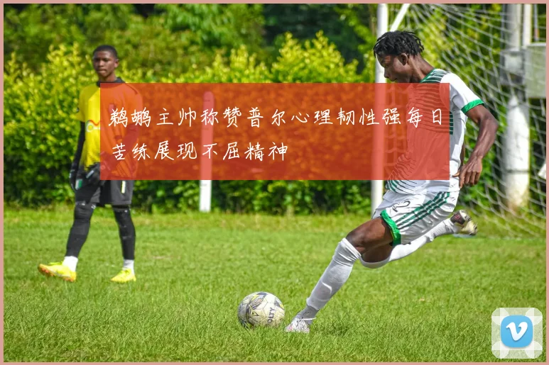 鹈鹕主帅称赞普尔心理韧性强每日苦练展现不屈精神