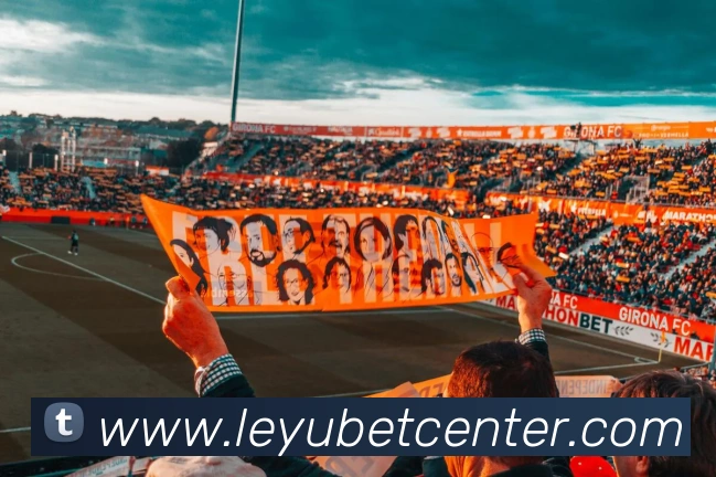 乐鱼体育APP 封面图